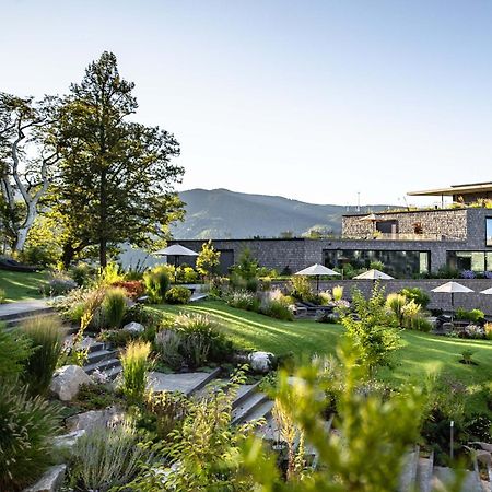 Luisenhoehe - Gesundheitsresort Schwarzwald Horben Eksteriør billede